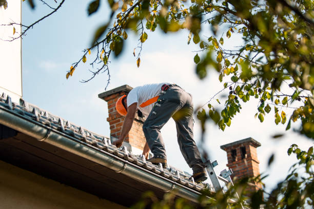 Best Roof Moss and Algae Removal  in East Camden, SC