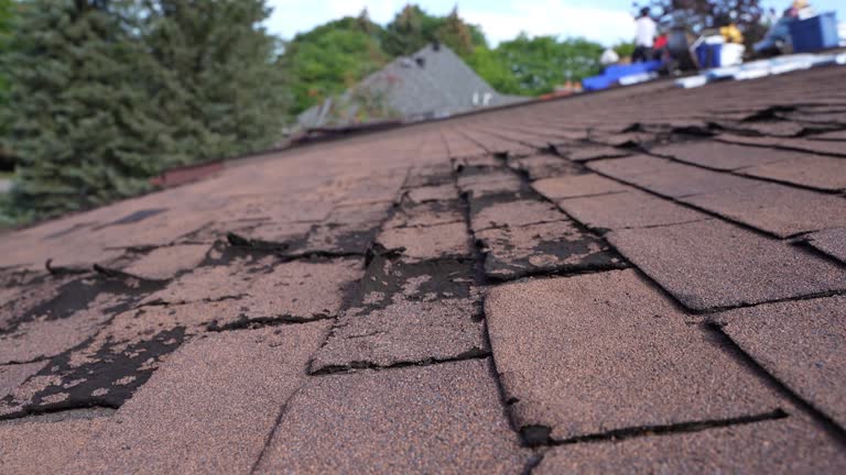 Best Roof Maintenance and Cleaning  in East Camden, SC