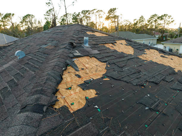 Best Green or Eco-Friendly Roofing Solutions  in East Camden, SC