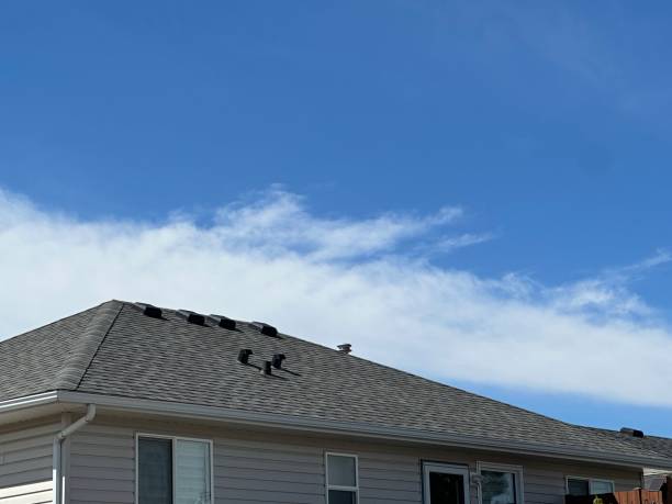 Reliable East Camden, SC Roofing Service Solutions